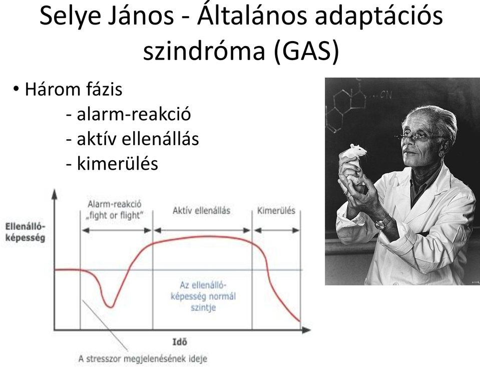 alarm-reakció - aktív