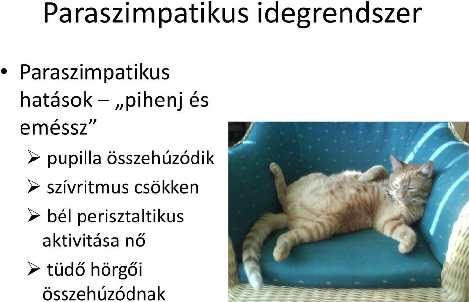 pupilla összehúzódik szívritmus csökken