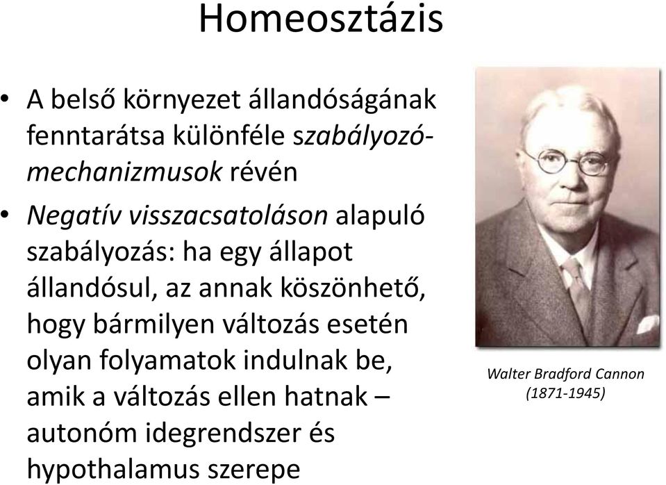 állandósul, az annak köszönhető, hogy bármilyen változás esetén olyan folyamatok indulnak