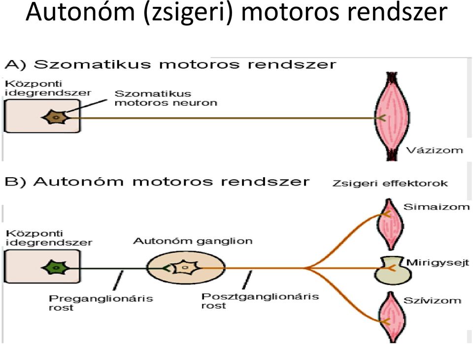 motoros