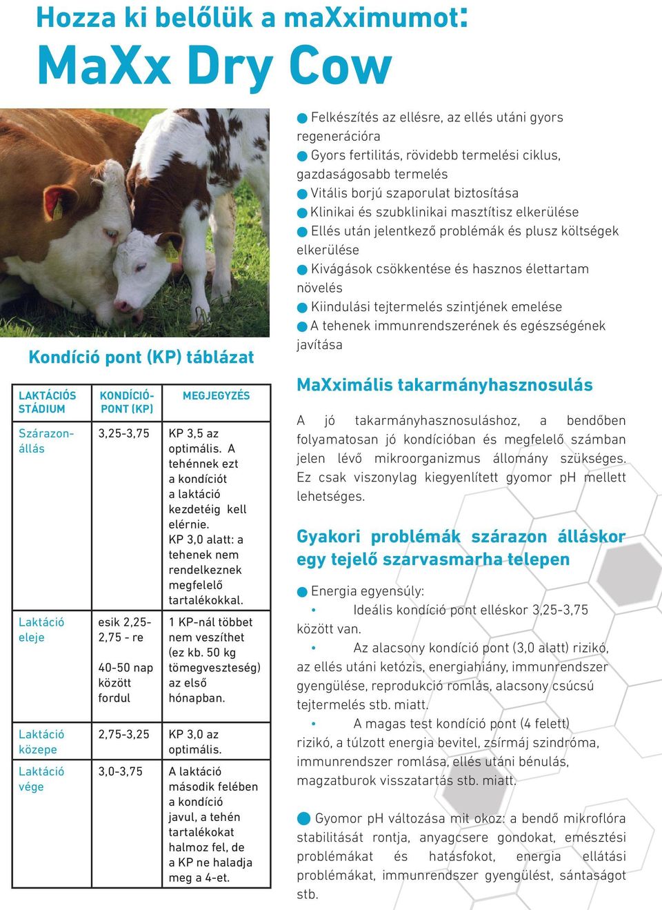 esik 2,25-2,75 - re 40-50 nap között fordul 1 KP-nál többet nem veszíthet (ez kb. 50 kg tömegveszteség) az első hónapban. 2,75-3,25 KP 3,0 az optimális.