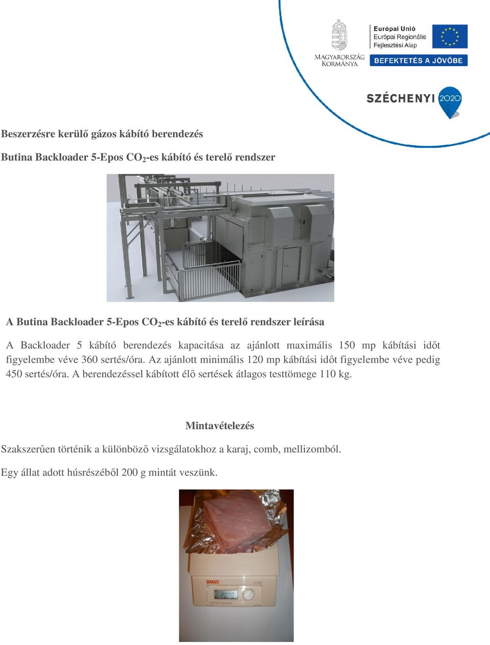 sertés/óra. Az ajánlott minimális 120 mp kábítási időt figyelembe véve pedig 450 sertés/óra.