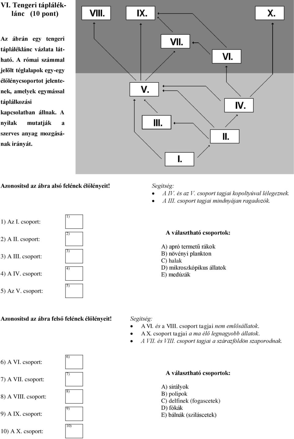 Azonosítsd az ábra alsó felének élőlényeit! Segítség: A IV. és az V. csoport tagjai kopoltyúval lélegeznek. A III. csoport tagjai mindnyájan ragadozók. Az I. csoport: 2) A II. csoport: 3) A III.