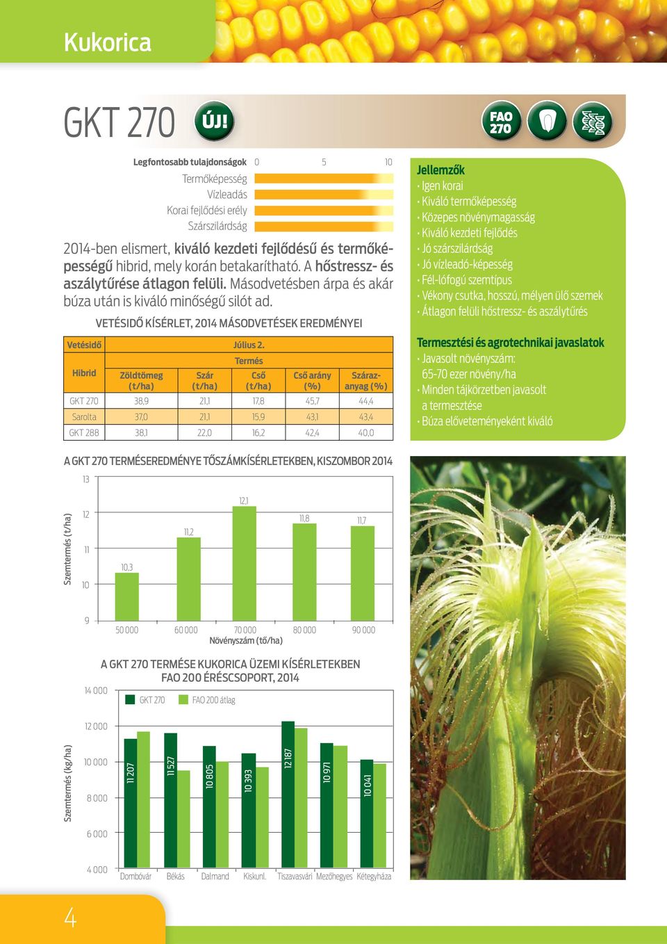 Termés Hibrid Zöldtömeg (t/ha) Szár (t/ha) Cső (t/ha) Cső arány (%) Szárazanyag (%) GKT 270 38,9 21,1 17,8 45,7 44,4 Sarolta 37,0 21,1 15,9 43,1 43,4 GKT 288 38,1 22,0 16,2 42,4 40,0 Igen korai