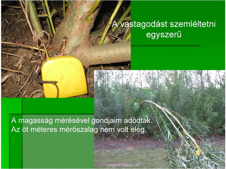Az öt méteres mérőszalag nem