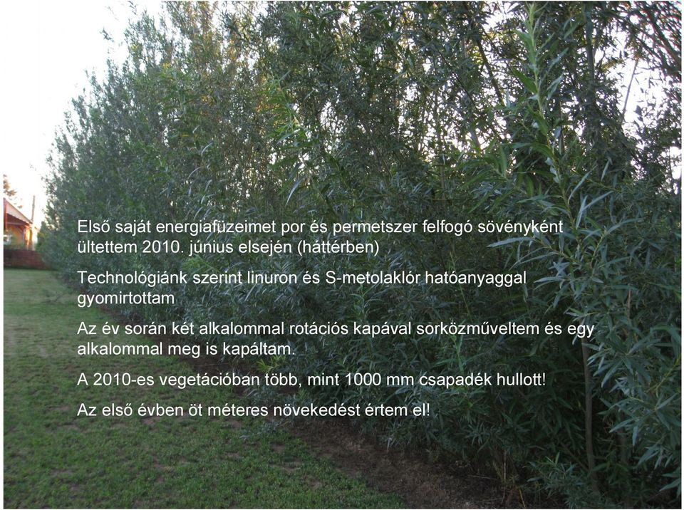 gyomirtottam Az év során két alkalommal rotációs kapával sorközműveltem és egy alkalommal meg