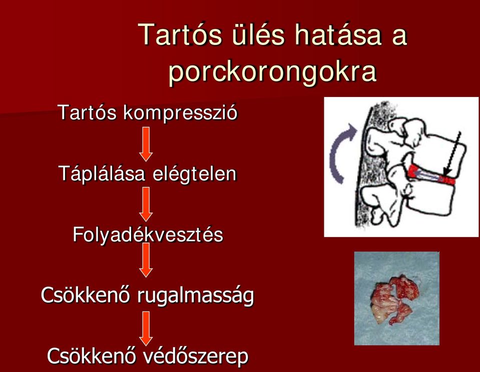 Táplálása elégtelen