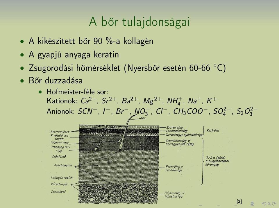 duzzadása Hofmeister-féle sor: Kationok: Ca 2+, Sr 2+, Ba 2+, Mg 2+,