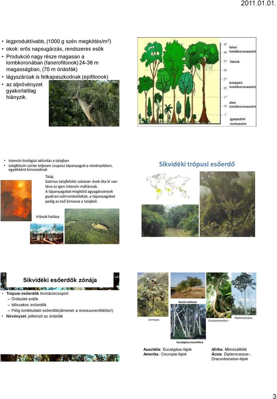 Trópusi éghajlati öv A Föld biomjai. Bioszféra alatti SIO egységek Zonális  elhelyezkedés Klimatikus kialakító tényezők - PDF Ingyenes letöltés