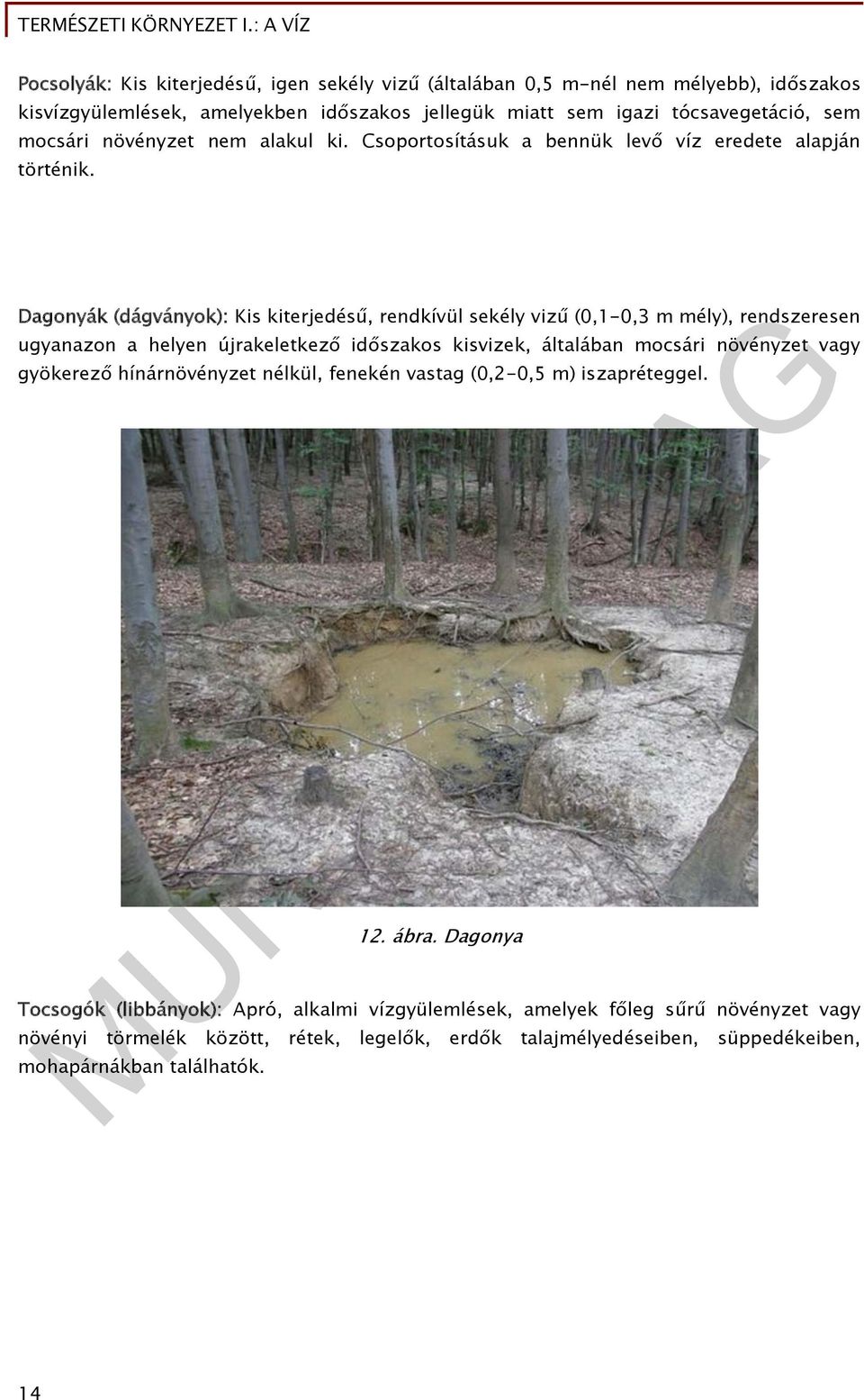 Dagonyák (dágványok): Kis kiterjedésű, rendkívül sekély vizű (0,1-0,3 m mély), rendszeresen ugyanazon a helyen újrakeletkező időszakos kisvizek, általában mocsári növényzet vagy