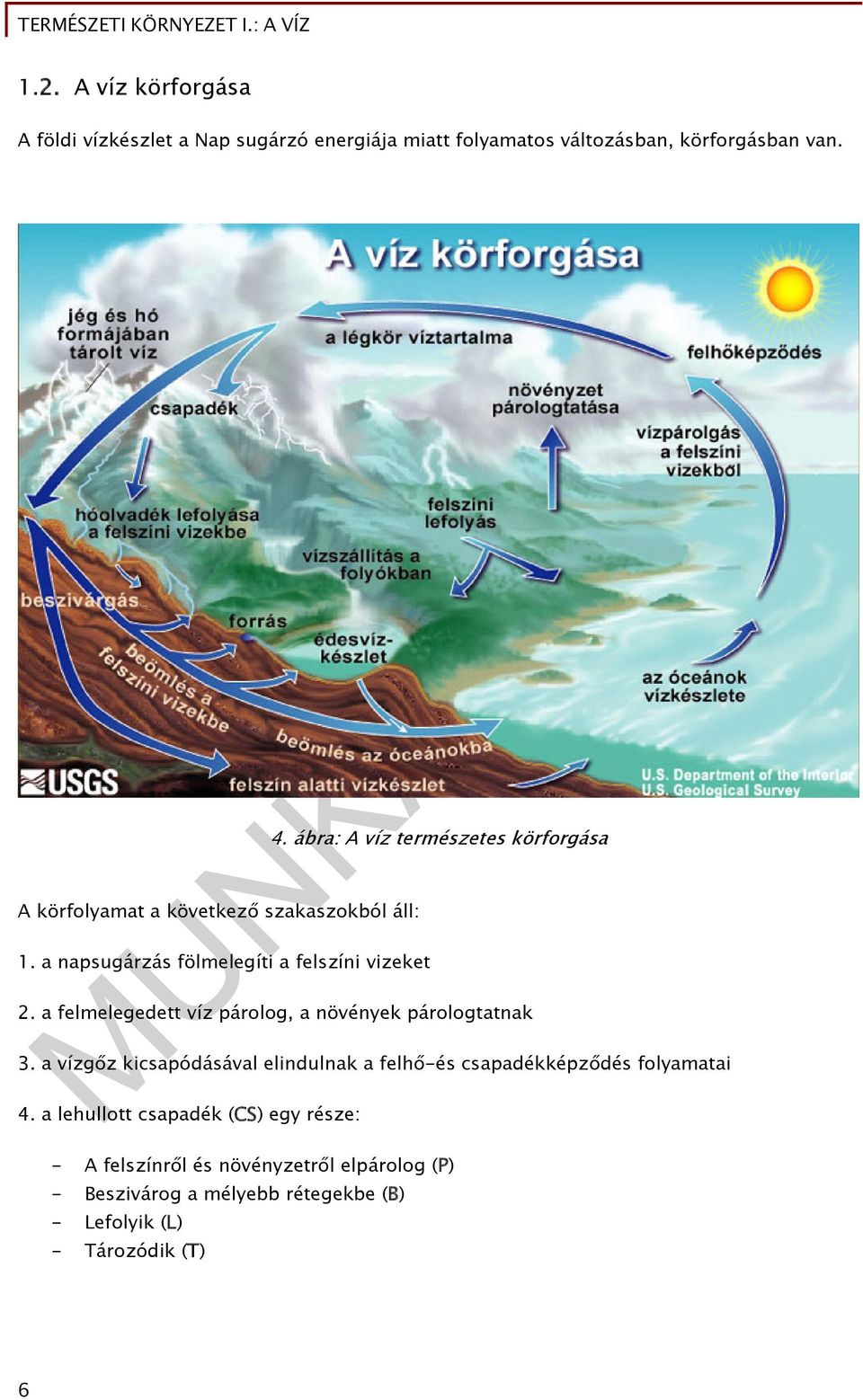 a felmelegedett víz párolog, a növények párologtatnak 3. a vízgőz kicsapódásával elindulnak a felhő-és csapadékképződés folyamatai 4.