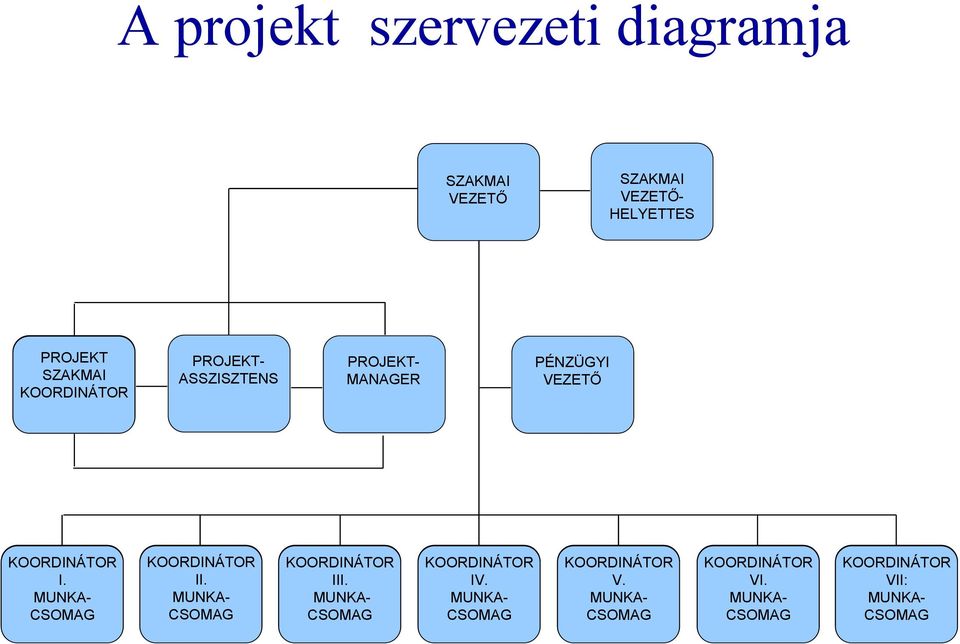 SZAKMAI PROJEKT- ASSZISZTENS PROJEKT-