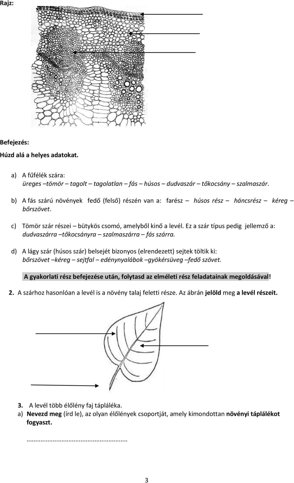 Ez a szár típus pedig jellemző a: dudvaszárra tőkocsányra szalmaszárra fás szárra.