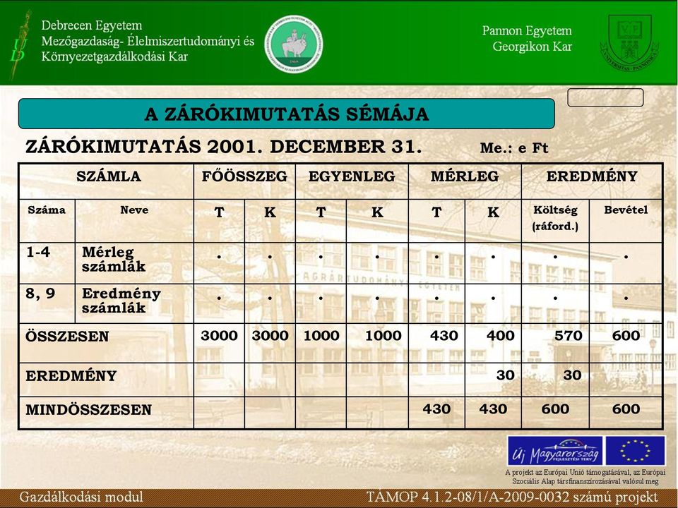 Mérleg számlák 8, 9 Eredmény számlák Me: e Ft Bevétel ÖSSZESEN 3000