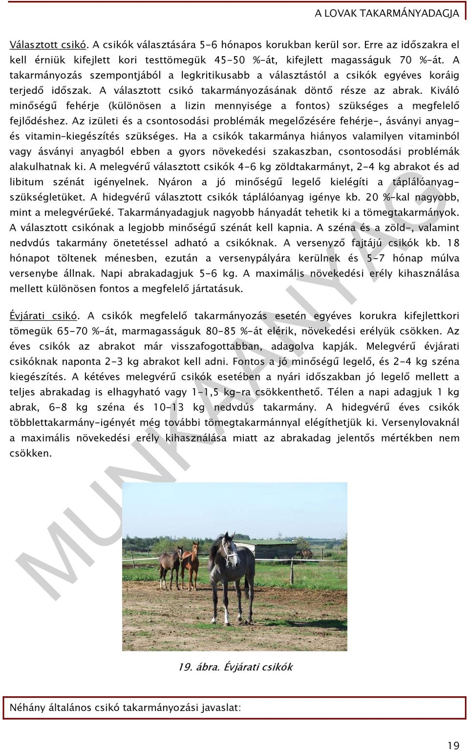 Kiváló minőségű fehérje (különösen a lizin mennyisége a fontos) szükséges a megfelelő fejlődéshez.