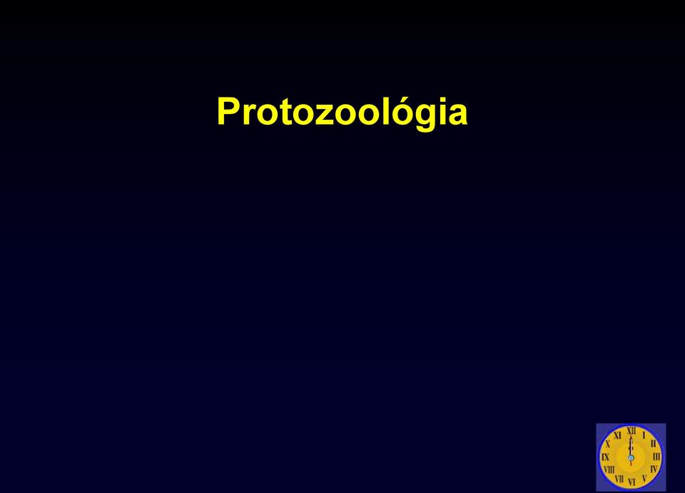 helmintiózák és protozoonok szűrése radiolabialis paraziták