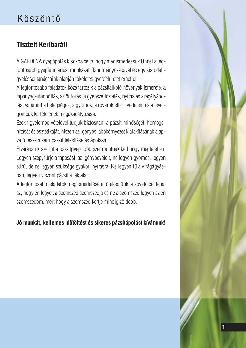A legfontosabb feladatok közé tartozik a pázsitalkotó növények ismerete, a tápanyag-utánpótlás, az öntözés, a gyepszellôztetés, nyírás és szegélyápolás, valamint a betegségek, a gyomok, a rovarok