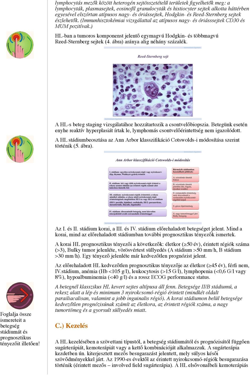 ) HL-ban a tumoros komponenst jelentő egymagvú Hodgkin- és többmagvú Reed-Sternberg sejtek (4. ábra) aránya alig néhány százalék. A HL-s beteg staging vizsgálatához hozzátartozik a csontvelőbiopszia.