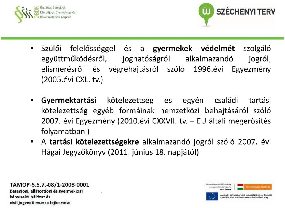 tartási kötelezettség egyéb formáinak nemzetközi behajtásáról szóló 2007 évi Egyezmény (2010évi CXXVII tv EU általi