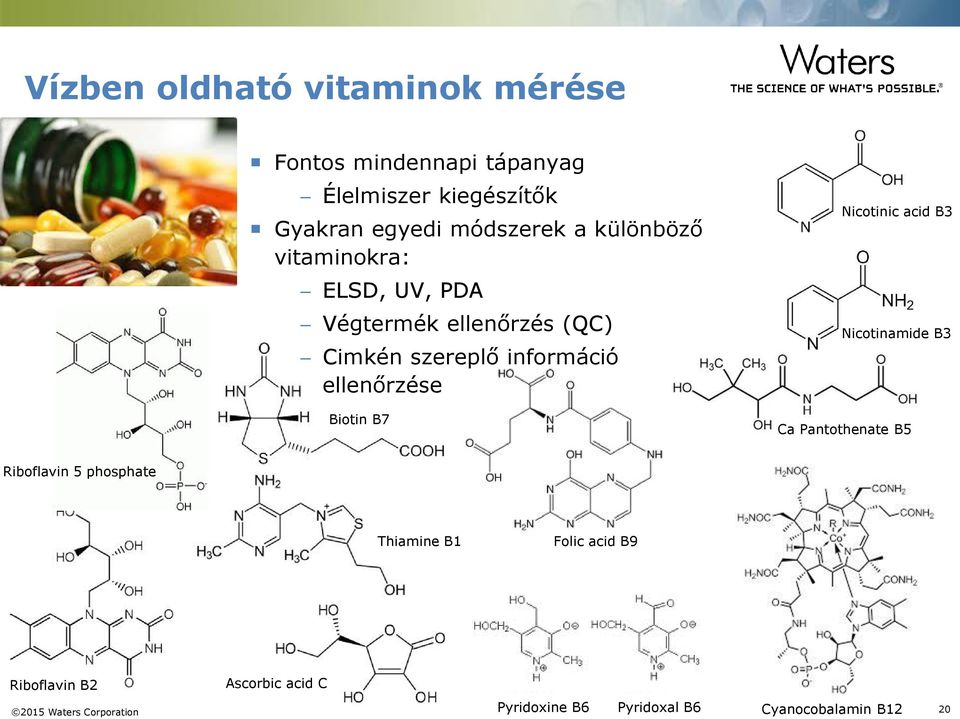 Biotin B7 Nicotinic acid B3 Nicotinamide B3 Ca Pantothenate B5 Riboflavin 5 phosphate Thiamine B1 Folic