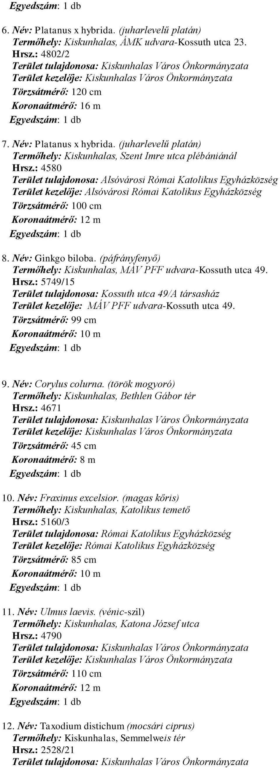 (páfrányfenyő) Termőhely: Kiskunhalas, MÁV PFF udvara-kossuth utca 49. Hrsz.: 5749/15 Terület tulajdonosa: Kossuth utca 49/A társasház Terület kezelője: MÁV PFF udvara-kossuth utca 49.