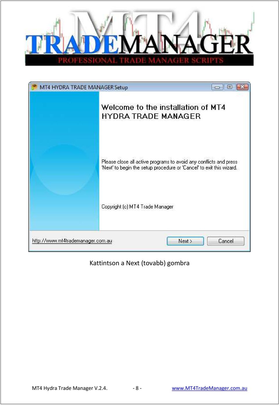 Hydra Trade Manager V.2.