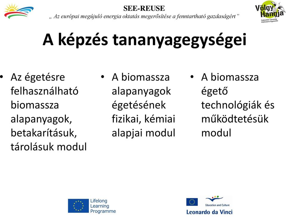 biomassza alapanyagok égetésének fizikai, kémiai