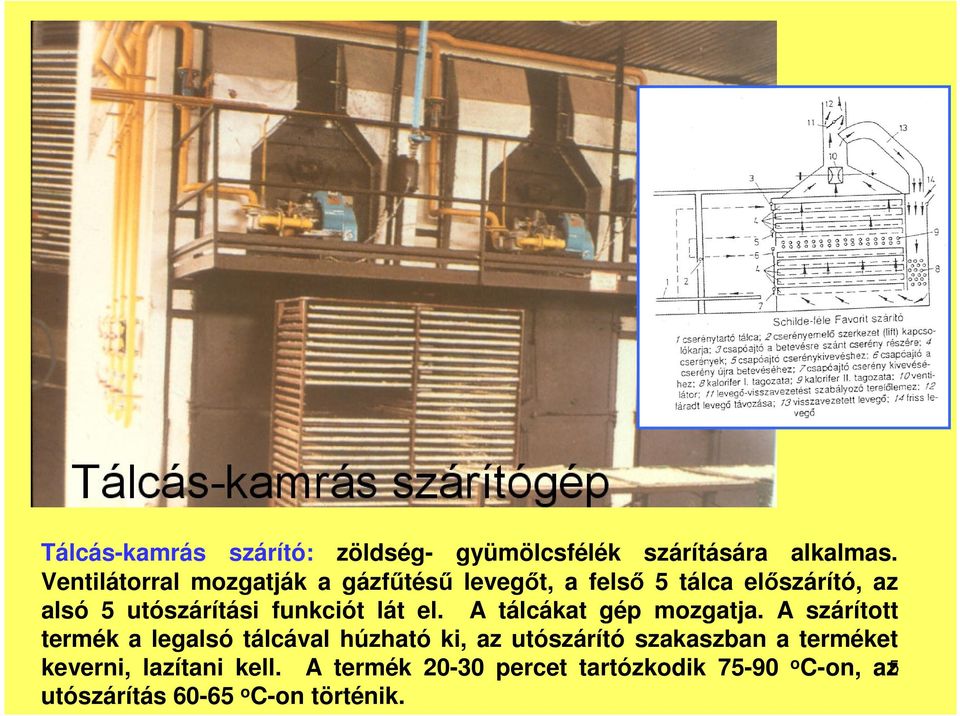 lát el. A tálcákat gép mozgatja.