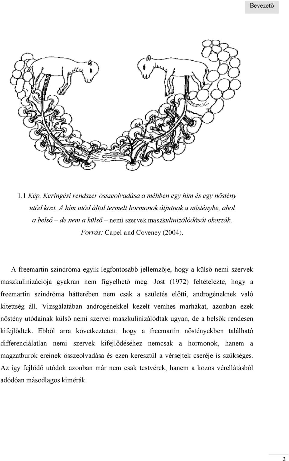 A freemartin szindróma egyik legfontosabb jellemzője, hogy a külső nemi szervek maszkulinizációja gyakran nem figyelhető meg.