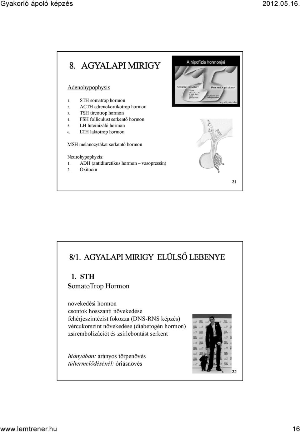 Oxitocin 31 1.