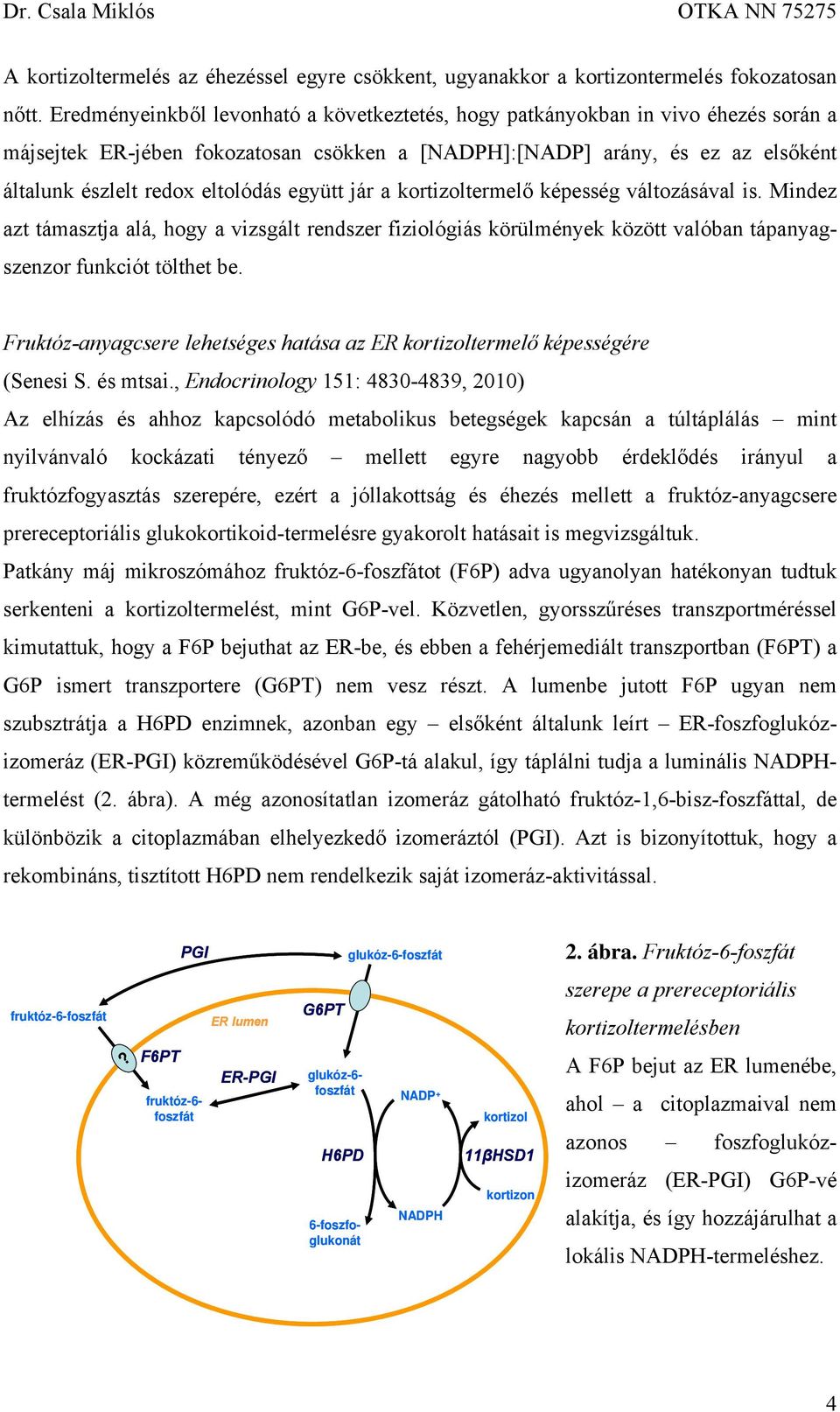 együtt jár a kortizoltermelő képesség változásával is. Mindez azt támasztja alá, hogy a vizsgált rendszer fiziológiás körülmények között valóban tápanyagszenzor funkciót tölthet be.