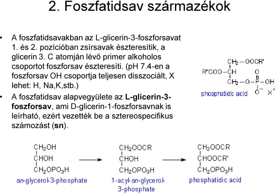C atomján lévő primer alkoholos csoportot foszforsav észteresíti. (ph 7.