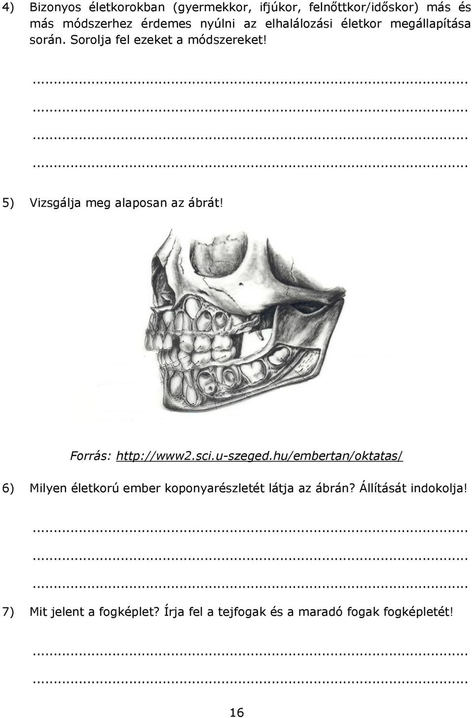 5) Vizsgálja meg alaposan az ábrát! Forrás: http://www2.sci.u-szeged.