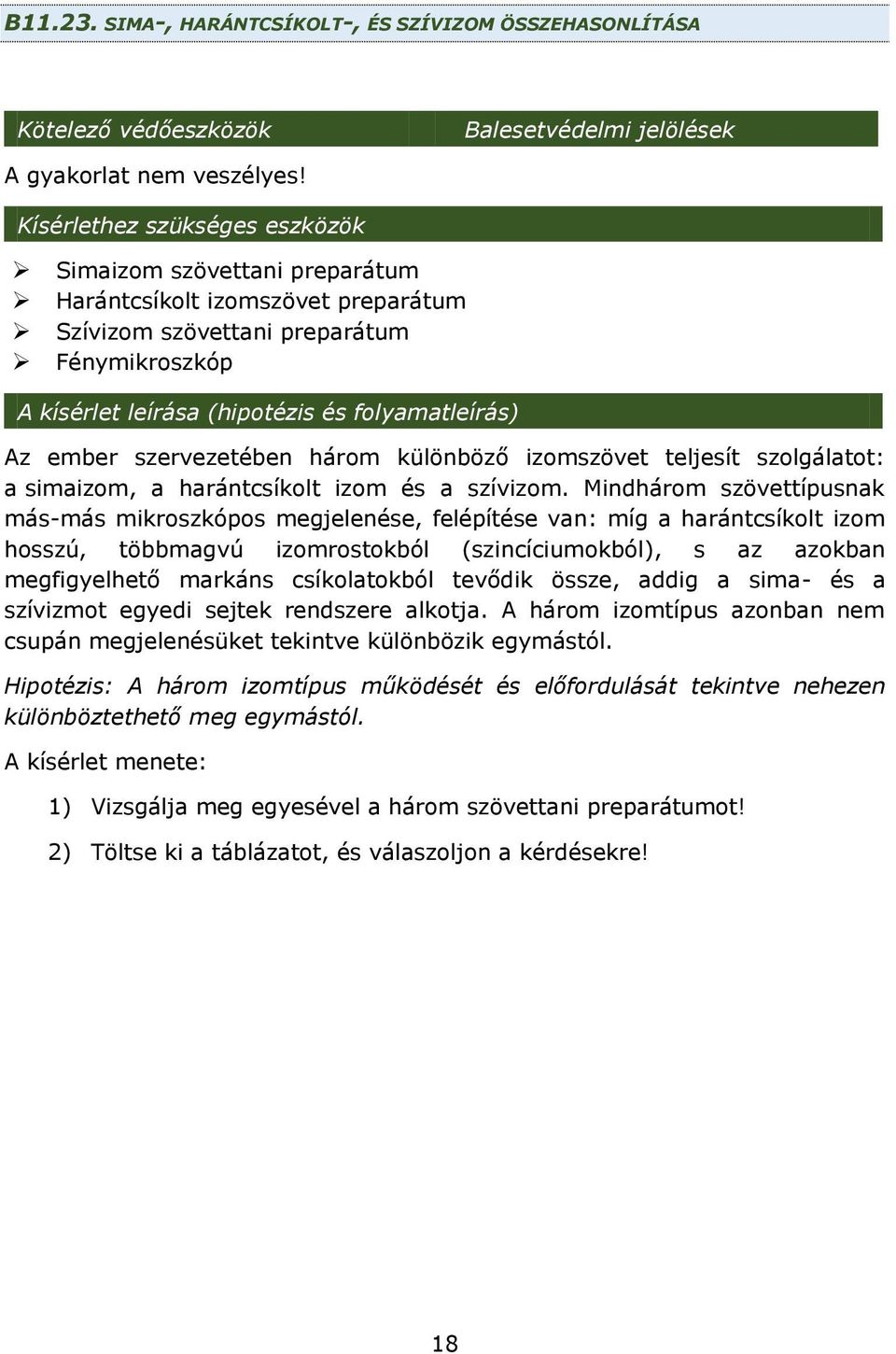 ember szervezetében három különböző izomszövet teljesít szolgálatot: a simaizom, a harántcsíkolt izom és a szívizom.