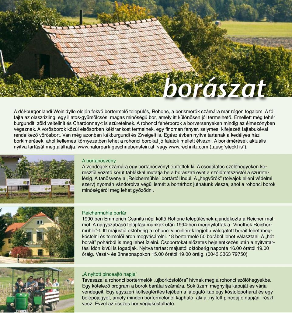 A rohonci fehérborok a borversenyeken mindig az élmezőnyben végeznek. A vörösborok közül elsősorban kékfrankost termelnek, egy finoman fanyar, selymes, kifejezett fajtabukéval rendelkező vörösbort.