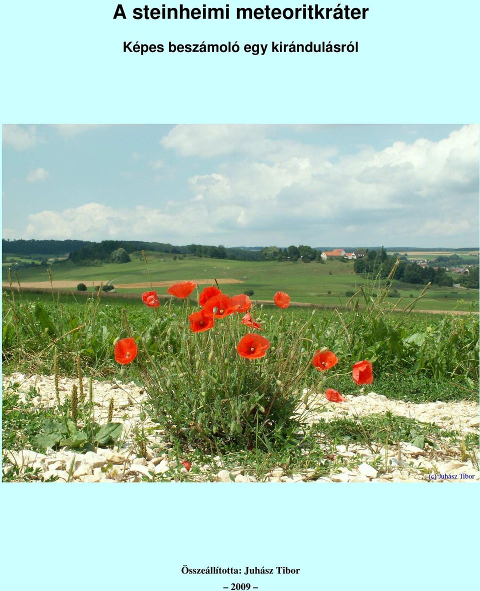 beszámoló egy