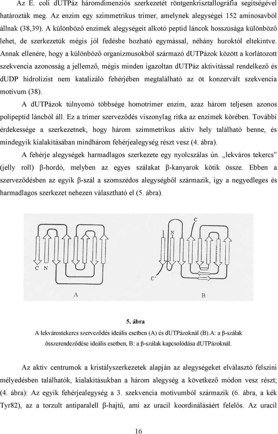Annak ellenére, hogy a különböző organizmusokból származó dutpázok között a korlátozott szekvencia azonosság a jellemző, mégis minden igazoltan dutpáz aktivitással rendelkező és dudp hidrolízist nem
