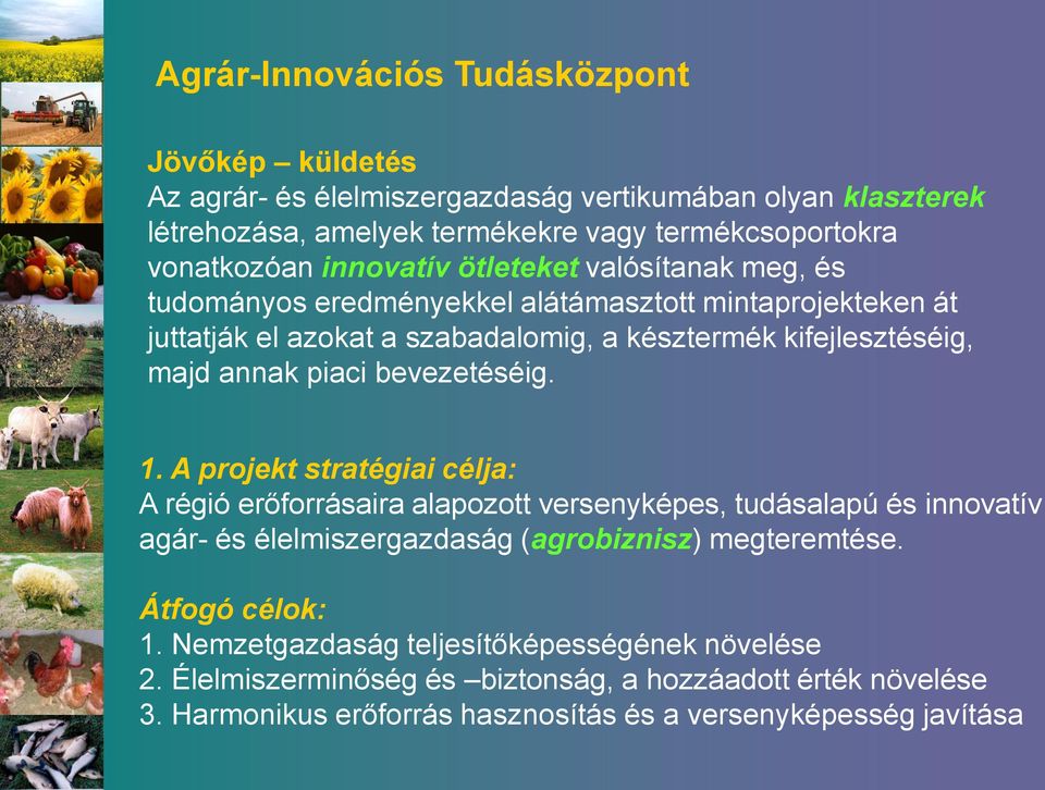 piaci bevezetéséig. 1. A projekt stratégiai célja: A régió erőforrásaira alapozott versenyképes, tudásalapú és innovatív agár- és élelmiszergazdaság (agrobiznisz) megteremtése.