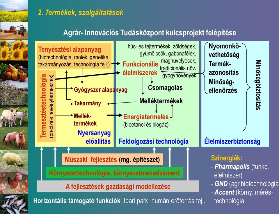 ) Gyógyszer alapanyag Takarmány Nyersanyag előállítás hús- és tejtermékek, zöldségek, gyümölcsök, gabonafélék, Funkcionális élelmiszerek maghüvelyesek, tradicionális növ.