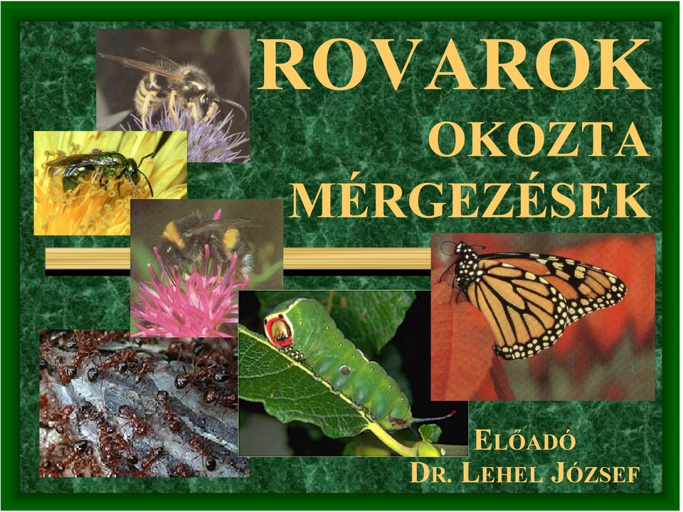 MÉRGEZÉSEK