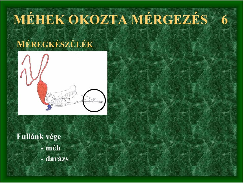 MÉREGKÉSZÜLÉK