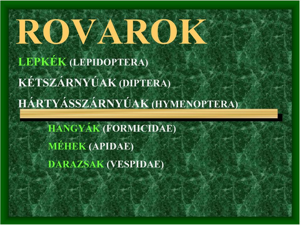 HÁRTYÁSSZÁRNYÚAK (HYMENOPTERA)