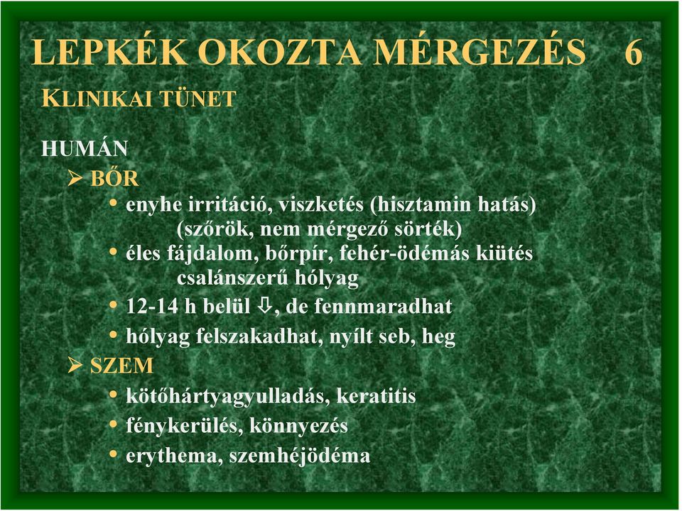 kiütés csalánszerű hólyag 12-14 h belül, de fennmaradhat hólyag felszakadhat, nyílt