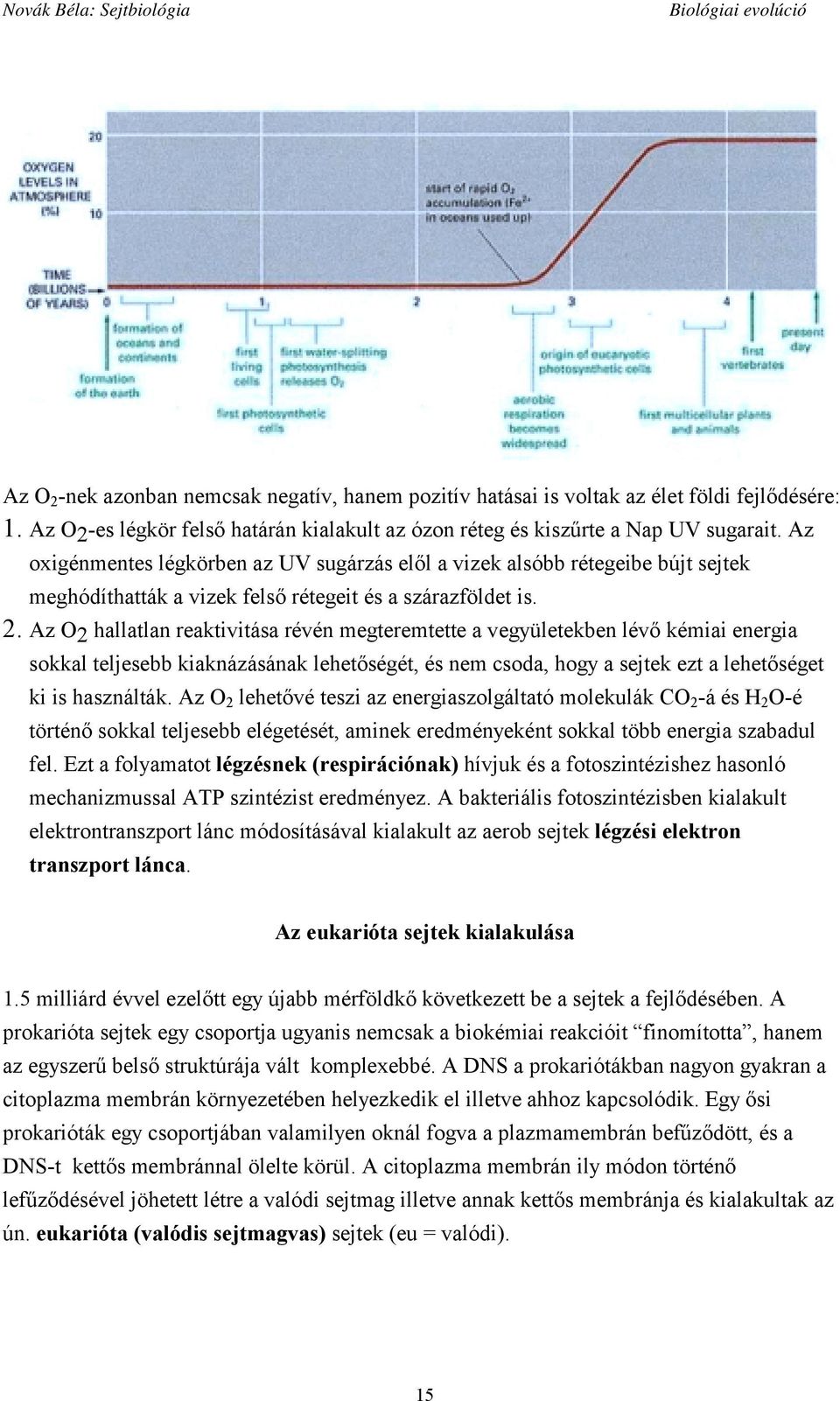 Az O2 hallatlan reaktivitása révén megteremtette a vegyületekben lévő kémiai energia sokkal teljesebb kiaknázásának lehetőségét, és nem csoda, hogy a sejtek ezt a lehetőséget ki is használták.