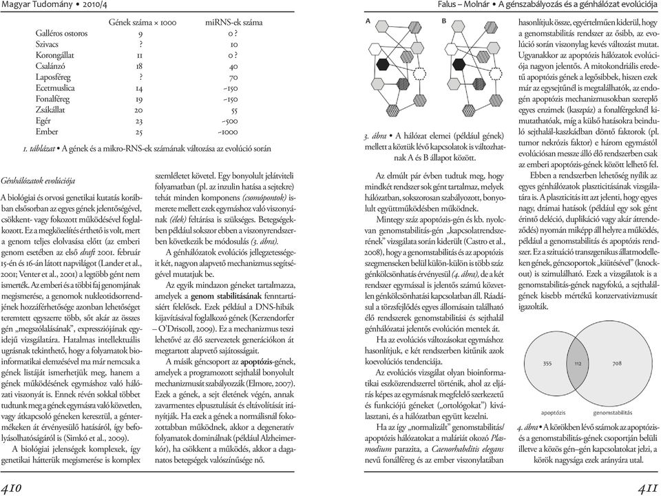 táblázat A gének és a mikro-rns-ek számának változása az evolúció során Génhálózatok evolúciója A biológiai és orvosi genetikai kutatás korábban elsősorban az egyes gének jelentőségével, csökkent-