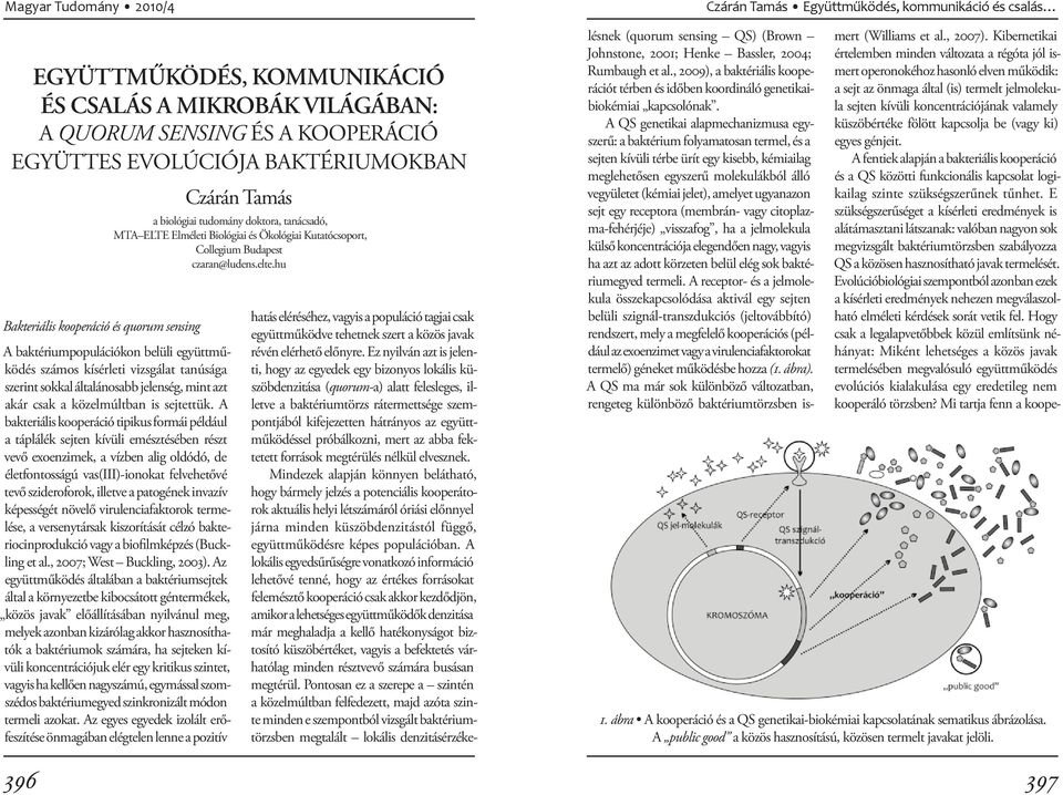 hu A baktériumpopulációkon belüli együttműködés számos kísérleti vizsgálat tanúsága szerint sokkal általánosabb jelenség, mint azt akár csak a közelmúltban is sejtettük.
