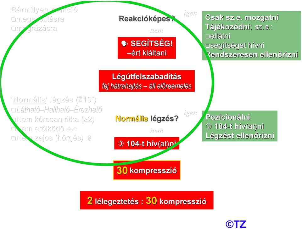Nem erőlk lködő Nem zajos (hörg rgés) Légútfelszabadítás fej hátrahajth trahajtás áll előreemel reemelés Normális légzl gzés?