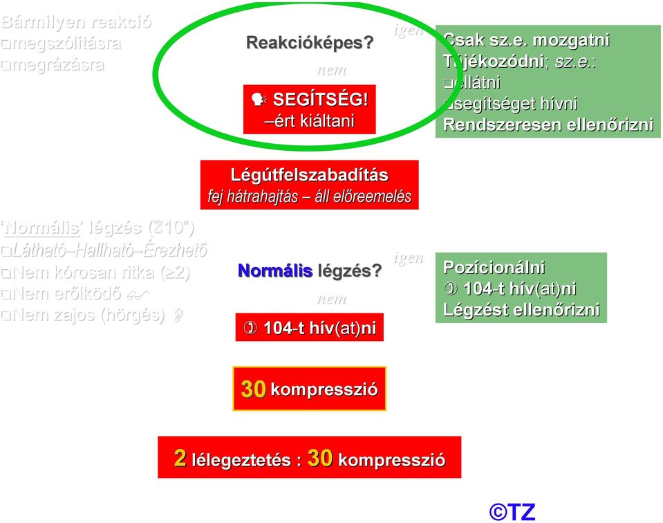 Nem erőlk lködő Nem zajos (hörg rgés) Légútfelszabadítás fej hátrahajth trahajtás áll előreemel reemelés Normális légzl gzés?