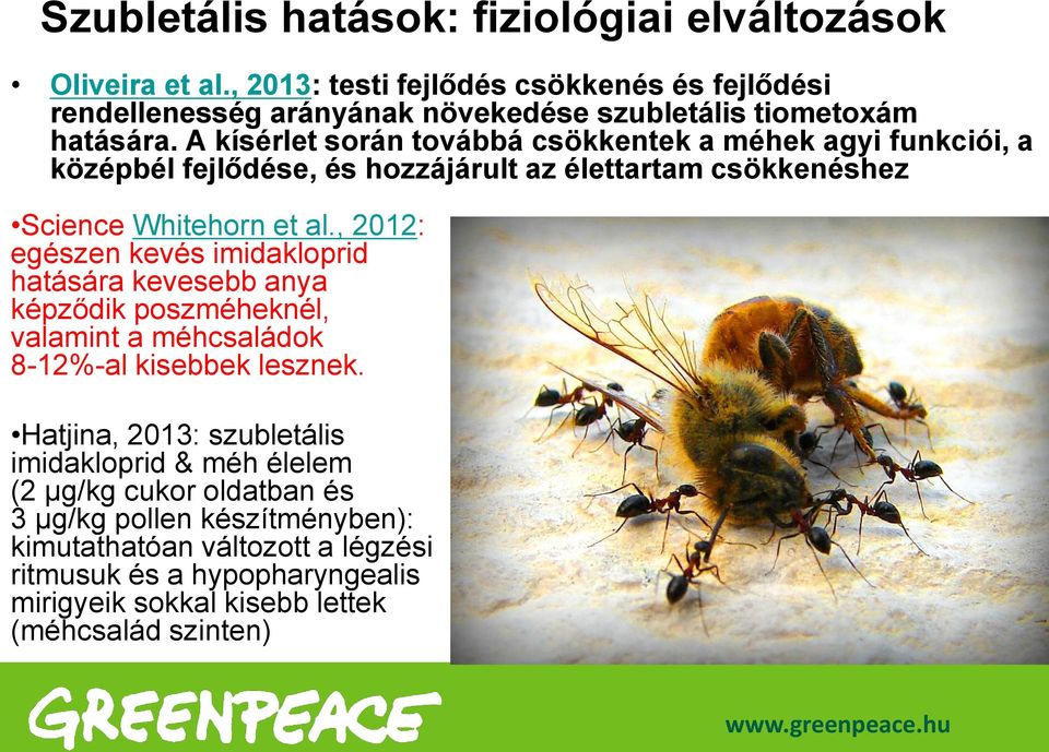 A kísérlet során továbbá csökkentek a méhek agyi funkciói, a középbél fejlődése, és hozzájárult az élettartam csökkenéshez Science Whitehorn et al.