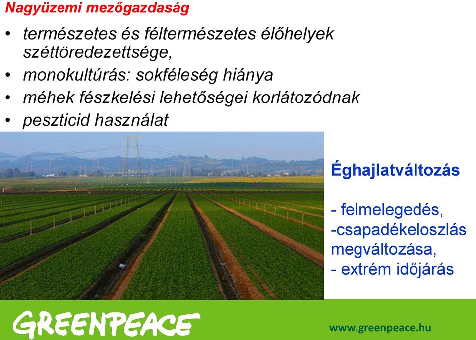 fészkelési lehetőségei korlátozódnak peszticid használat